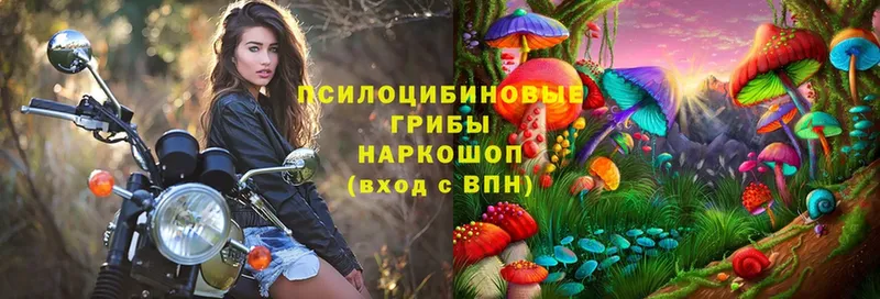 Псилоцибиновые грибы Magic Shrooms  где можно купить   Орск 